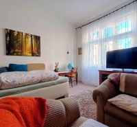 Living room in a 4-room apartment with a sofa bed and a television.
