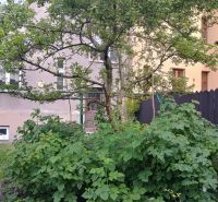 In front of the house on Daniela Dlabača Street in Žilina, there are growing trees and shrubs, a 4-room apartment.