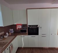 A kitchen in a family house with a wooden decor floor and green cabinets.