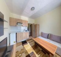 A holiday apartment with a kitchen, sofa, and decorative carpet, flooring with a wooden decor.