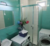 A bathroom in a 4-room apartment with a washing machine, dryer, shower, and decorative flowers.
