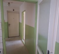 A hallway in a 2-room apartment with white and green walls, simple doors.