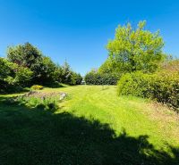 Garden with lawn on plots - living in Limbach on Krátka Street.