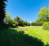 A landscaped green plot on Krátka Street in Limbach with numerous trees and shrubs.