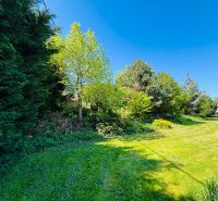 Greenery and grassy area surrounded by trees on a residential plot in Limbach, Krátka.