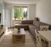 Living room of a two-room apartment with a comfortable sofa, TV, and plants.