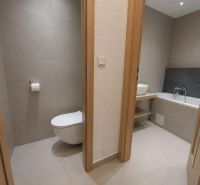 Bathroom and toilet with tiles and a bathtub in a 2-room apartment.