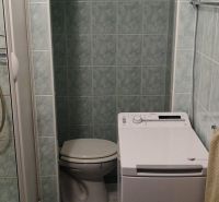 A bathroom in a studio apartment with a washing machine next to the toilet.
