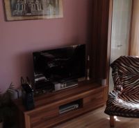 A room with a television, a patterned armchair, and a floor with a wooden decor in a studio apartment.