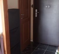 Entrance hallway in a one-room apartment with black tiles, wooden doors, and a plant.