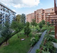 Garden between apartment buildings on Košická Street in Bratislava - Ružinov.