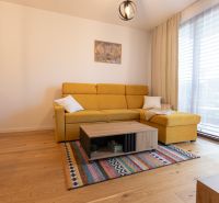 A living room with a wood-patterned floor, a yellow sofa, and a colorful rug in a two-room apartment.