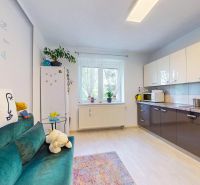A kitchen in a 2-room apartment with a kitchenette and a sofa, light flooring with a wooden decor.