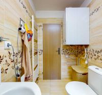 A bathroom in a 2-room apartment with leaf-patterned tiles and a practical layout.
