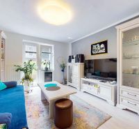 Living room in a 2-room apartment with a blue sofa, TV, and wooden floor decor.