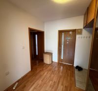 Entrance hall of a 3-room apartment with a wooden decor floor and a socket panel.