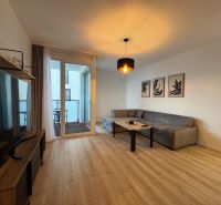 Living room in a two-room apartment with a sofa, television, and wooden decor flooring.
