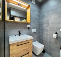 Bathroom in a 2-room apartment with tiles, a mirror, and a sink with wooden decor.