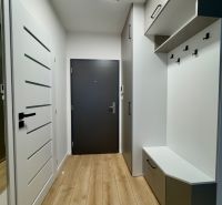 Entrance hallway with storage space and wooden decor flooring in a 2-room apartment.