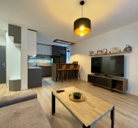 Living room in a two-room apartment with a wooden decor floor, a television, and a kitchen bar.