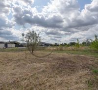 A plot for residential building in Zohor on Brezová Street with mature trees and sky.