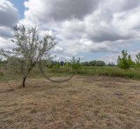 Spacious residential plots in Zohor on Brezová Street, surrounded by nature and trees.