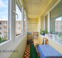 Glazed loggia of a 3-room apartment with carpet and potted plants.