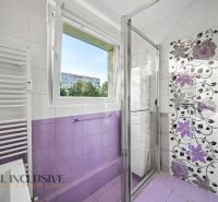 A bathroom in a 3-room apartment with purple tiles and a shower.