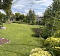 The garden of a family house on Rizlingova Street in Trenčín with a well-maintained lawn and plantings.