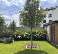 A garden at a family house on Rizlingova Street in Trenčín with a well-maintained lawn and trees.