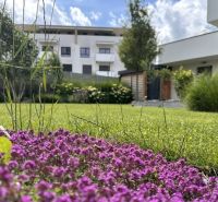 The garden of a family house on Rizlingova Street in Trenčín, blooming flowers and lawn.