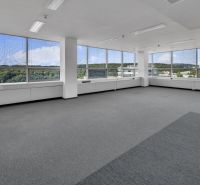 Spacious offices with carpeted floors and large windows offering views of nature.