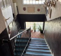 The staircase of a family house with decorations on the walls and plants by the window.