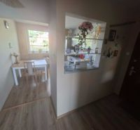 3-room apartment with a dining table, wooden decor flooring, bright kitchen.