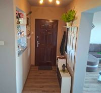 Entrance hallway with wood-patterned flooring in a 3-room apartment, coat rack, decorations.