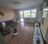 Living room in a 3-room apartment with a sofa, decorative elements, and a wooden-patterned floor.