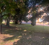 Trees and lawn near the building in the town of Kežmarok on Gen. Štefánika.