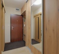 A hallway with doors and a wardrobe in a studio apartment, a floor with a wood decor, a mirror.
