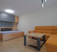 1-bedroom apartment with a sofa, bed, and wooden decor flooring.