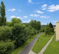Greenery and sidewalk near the buildings on SNP in Považská Bystrica, leading to a 1-bedroom apartment.