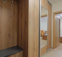Entrance hall with coat racks and a mirror in a studio apartment with a wooden decor floor.