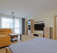 Living room in a studio apartment with a wood-patterned floor and an orange sofa.