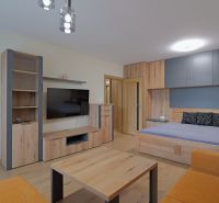 Living room in a studio apartment with a wood-patterned floor and built-in furniture.