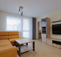 Living room in a studio apartment with a sofa, TV, and wood-patterned flooring.