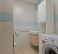 Bathroom in a studio apartment with a washing machine, cabinet, and wooden decor flooring.