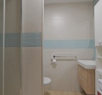 Bathroom with toilet and shower, 1-room apartment, floor with wood decor.
