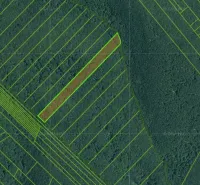 Aerial view of agricultural and forest lands near Veľké Ozorovce with a focus on parceling.