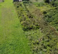 Greenery and shrubs on a plot in Bátorove Kosihy designated for residential use.