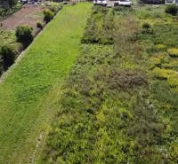 Meadows and vegetation around Bátorové Kosihy, suitable for plots - housing.