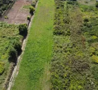 Residential plots in Bátorové Kosihy with lush vegetation and extensive green areas.